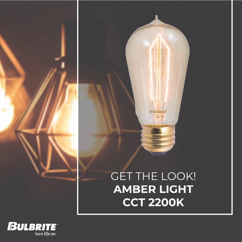 134018 - Dimmable Antique ST18 Incandescent Light Bulb - 40 Watt - 2200K - 6 Pack