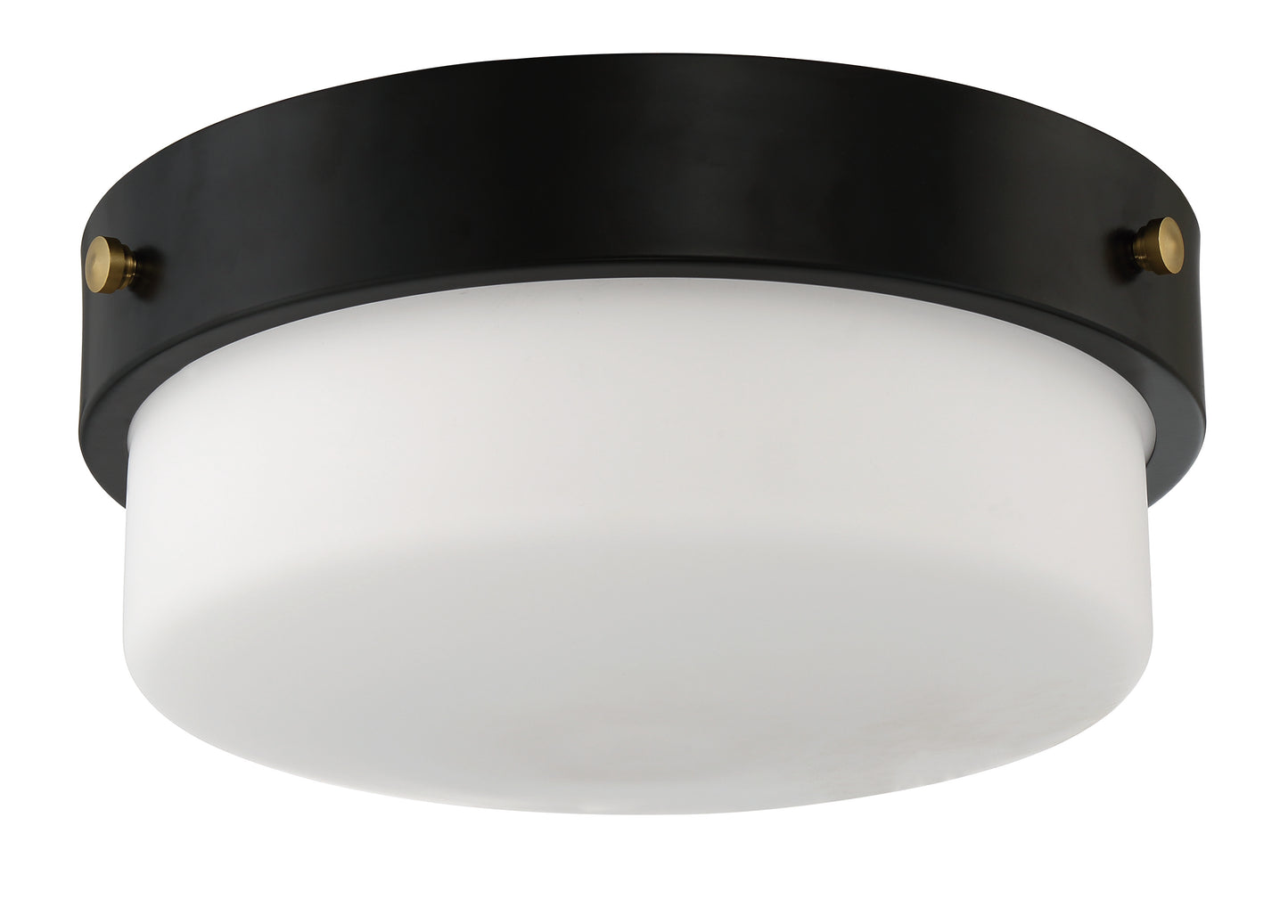 X3214-FB - Oak Street 2 Light 13" Wide Flush Mount - Flat Black