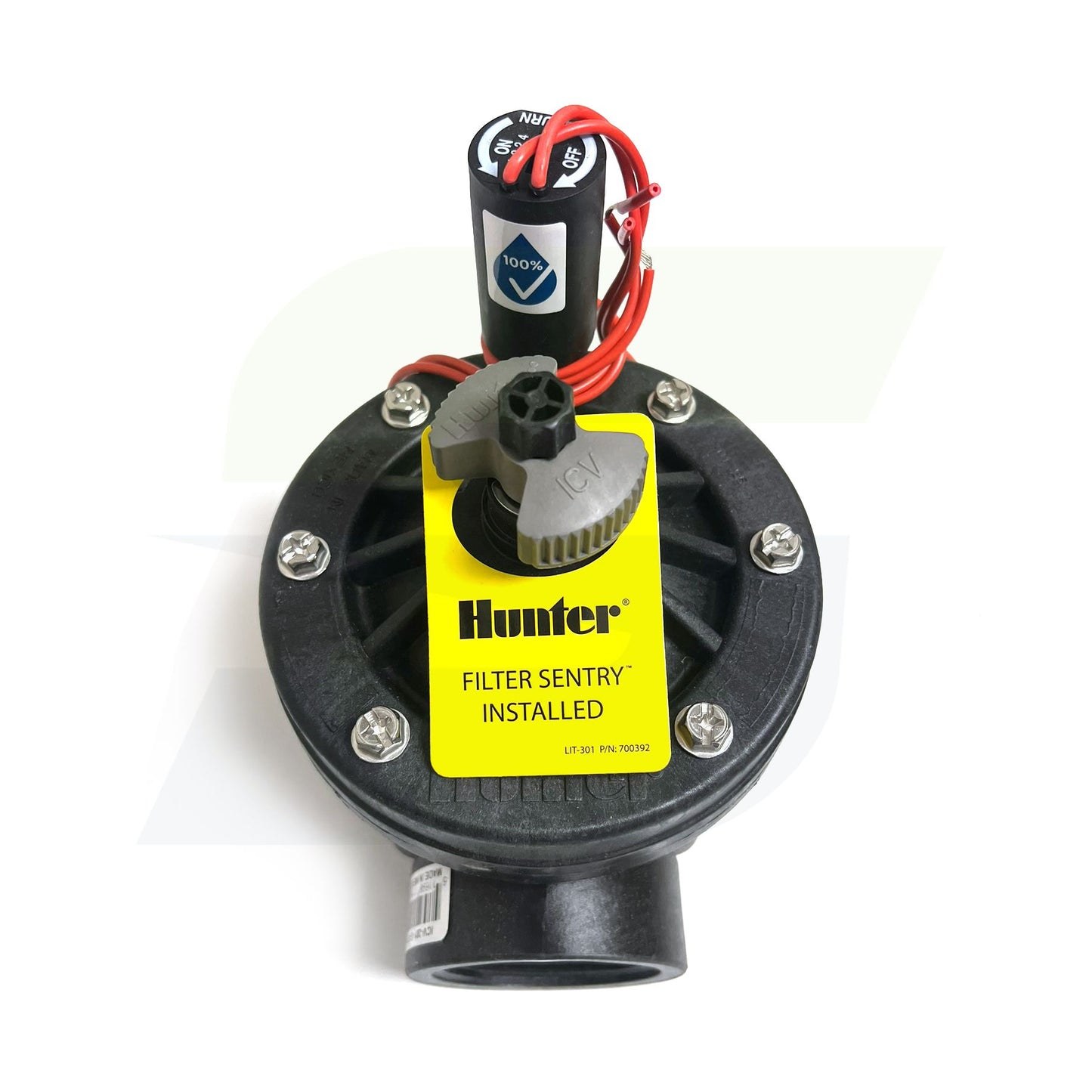 ICV-201G-FS - 2" Globe Valve with Flow Control, Filter Sentry