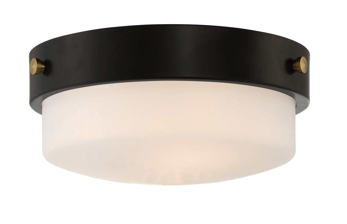 X3212-FB - Oak Street 2 Light 11" Wide Flush Mount - Flat Black