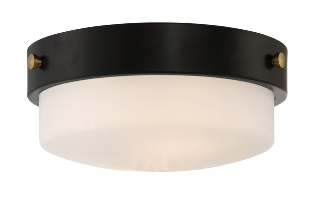 X3212-FB - Oak Street 2 Light 11" Wide Flush Mount - Flat Black