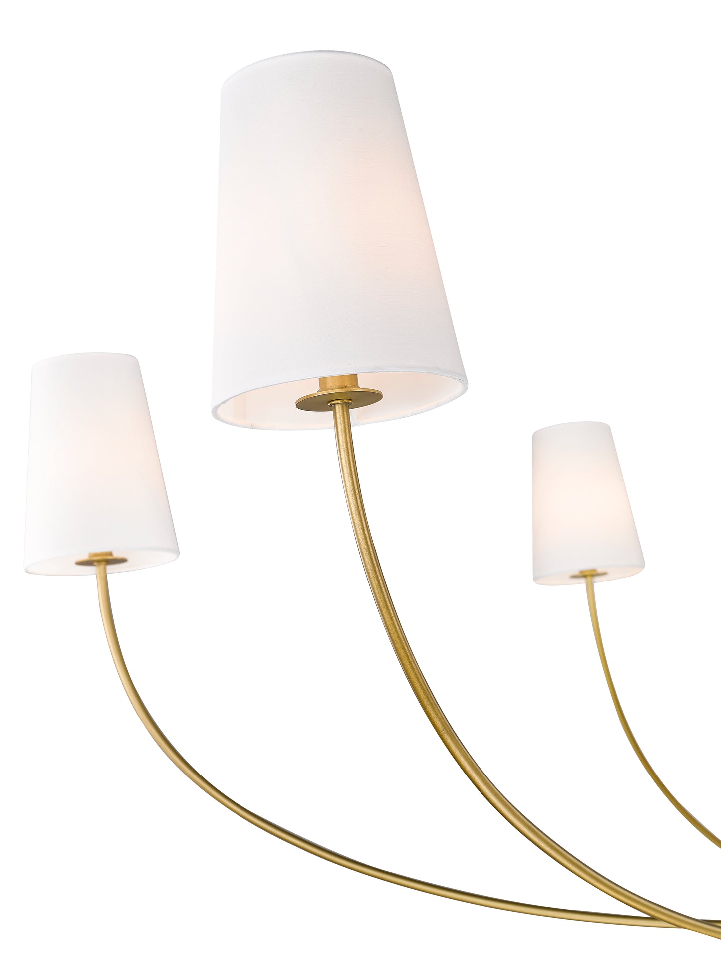 3040-62RB - Shannon 6 Light 62" Chandelier - Rubbed Brass