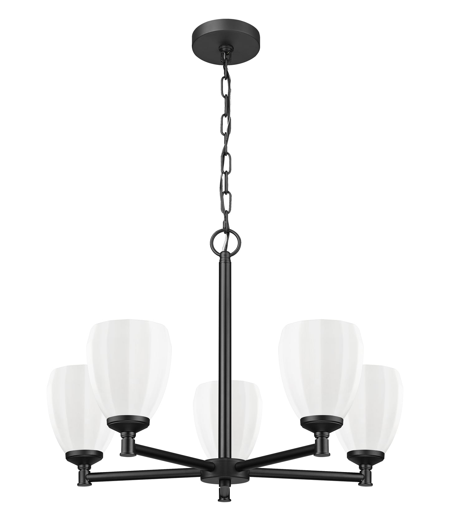7004-5MB - Oren 5 Light 25" Chandelier - Matte Black
