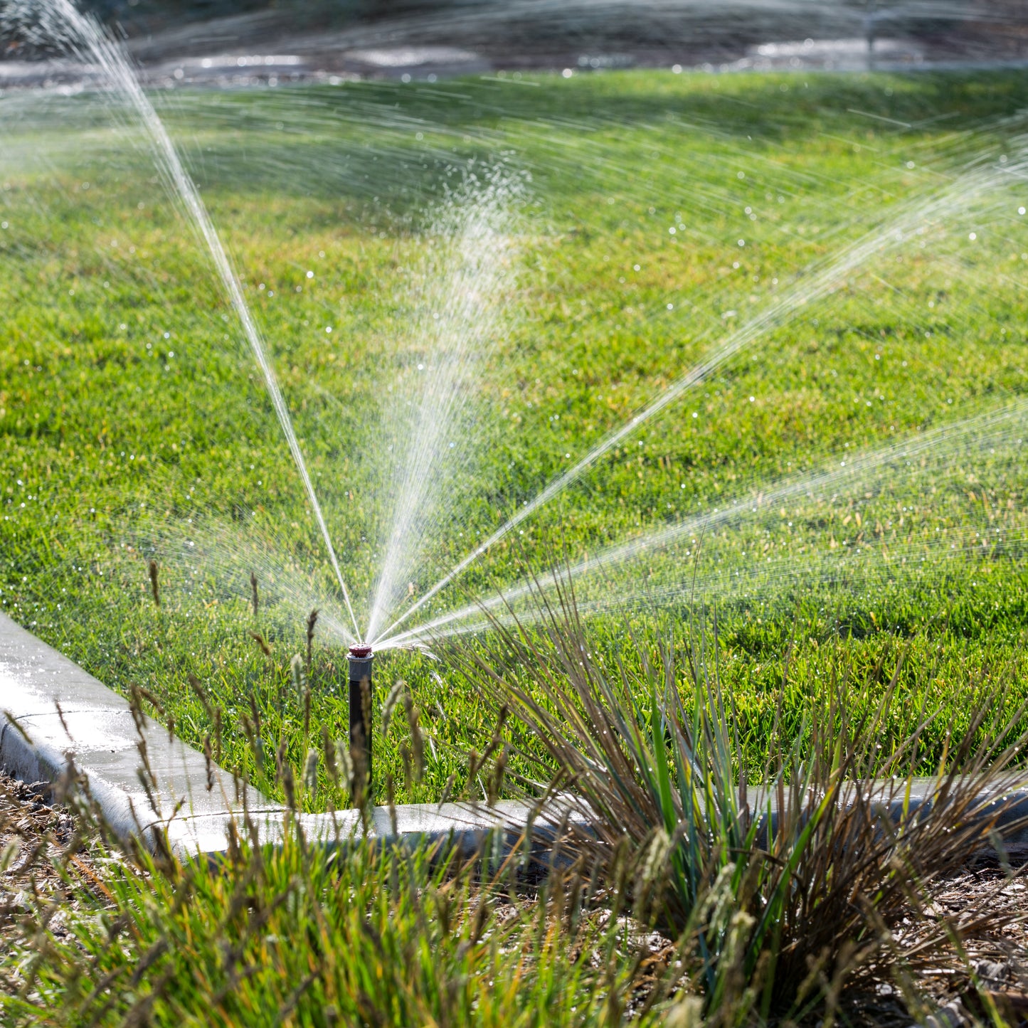 MPLCS-515 - Left Corner Strip  MP Rotator Nozzle, 5' x 15'