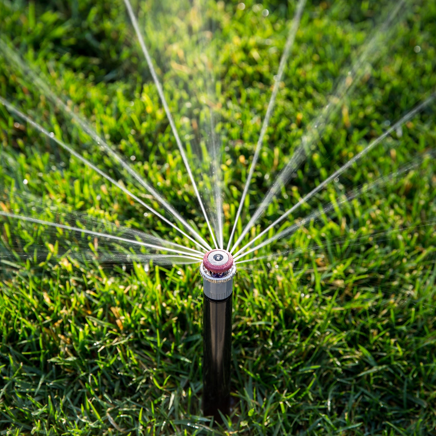 MPLCS-515 - Left Corner Strip  MP Rotator Nozzle, 5' x 15'