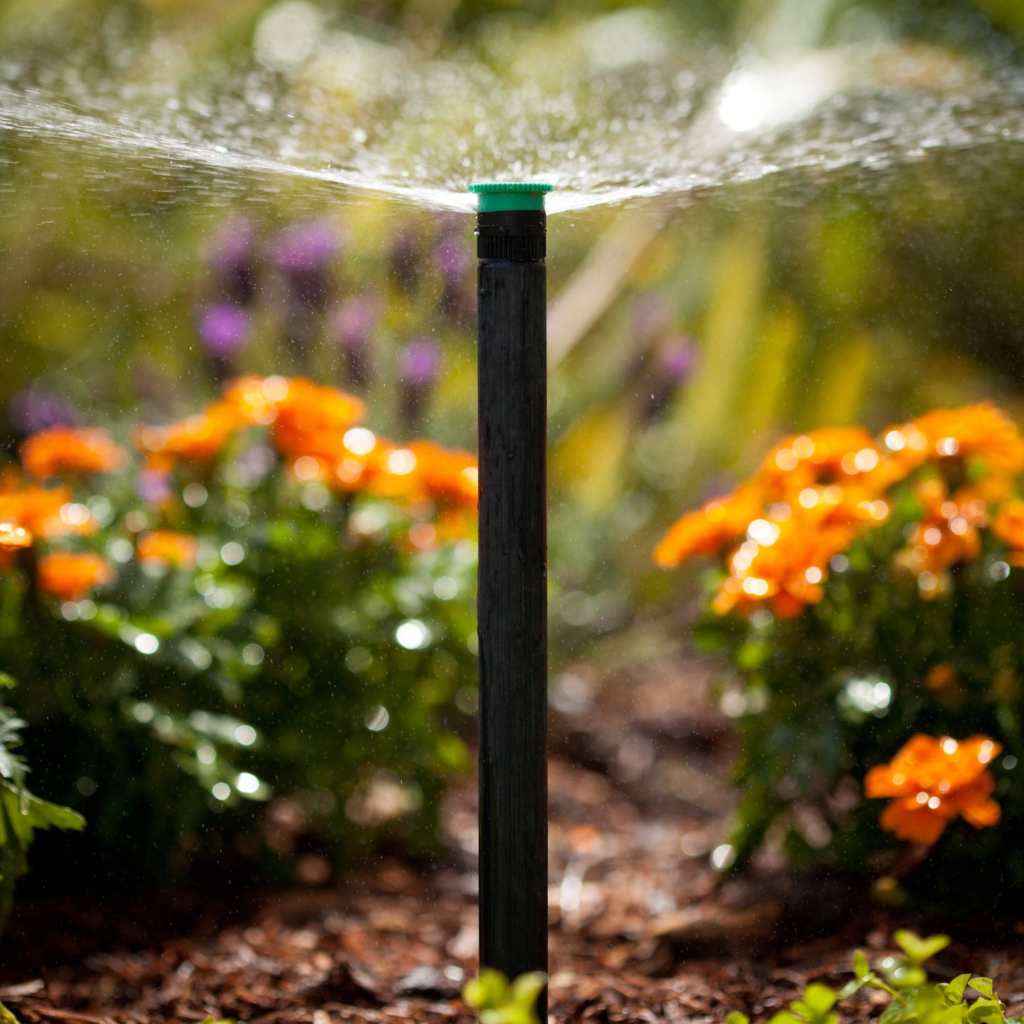 8A - 8' Radius Pro Adjustable Nozzle, 0 to 360 Degrees