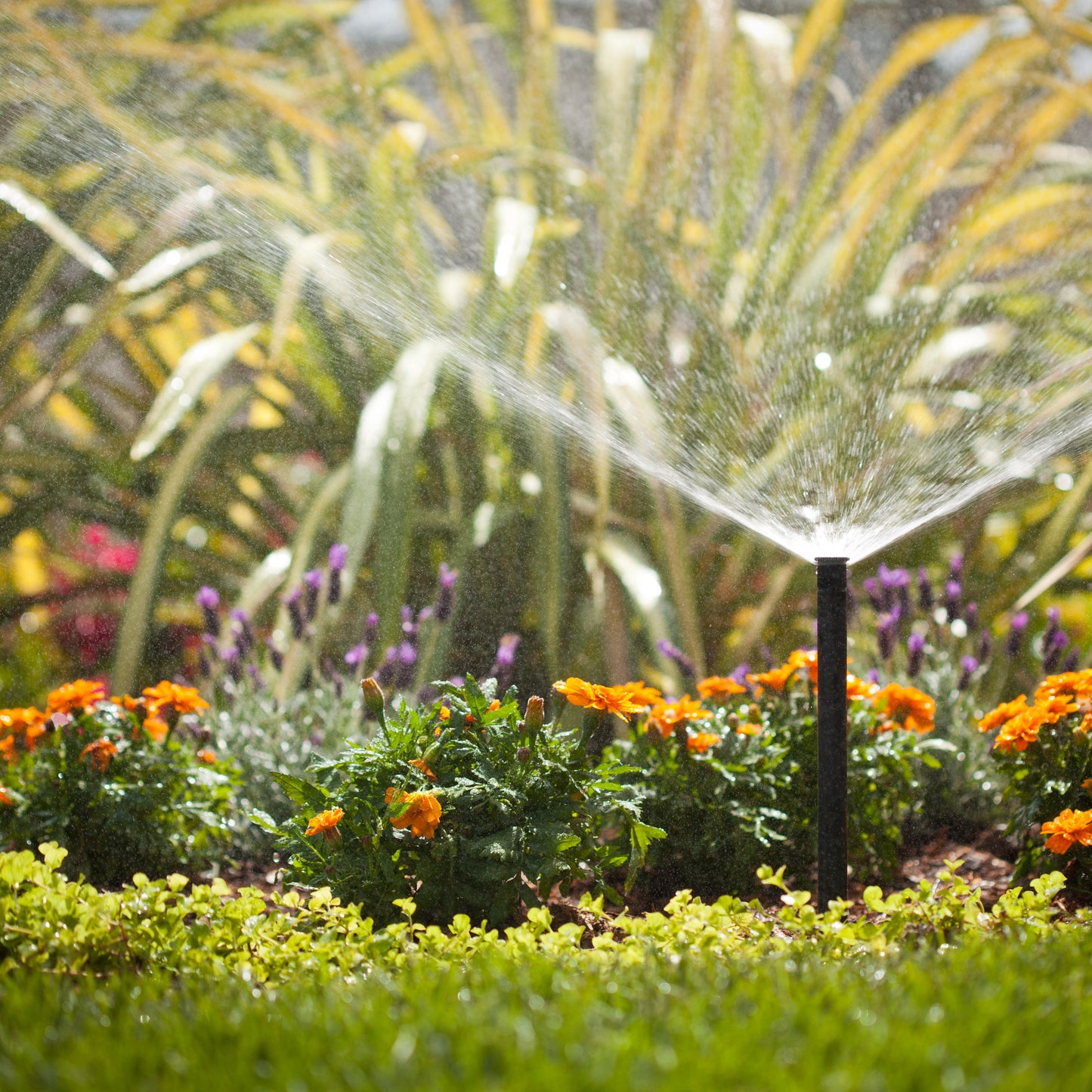 8A - 8' Radius Pro Adjustable Nozzle, 0 to 360 Degrees