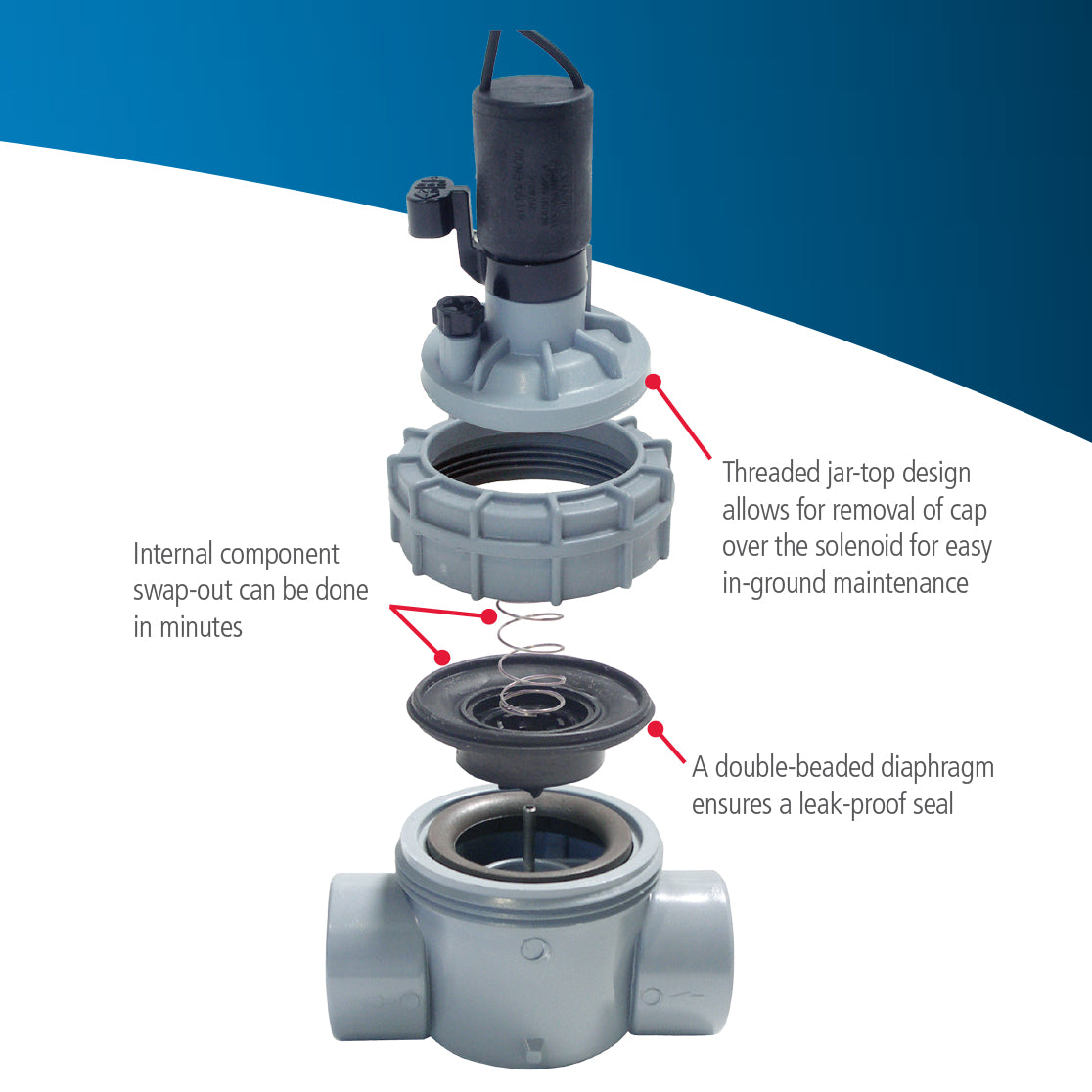 2400T - 1" Globe NPT Threaded Connection - 2400 Series Valve