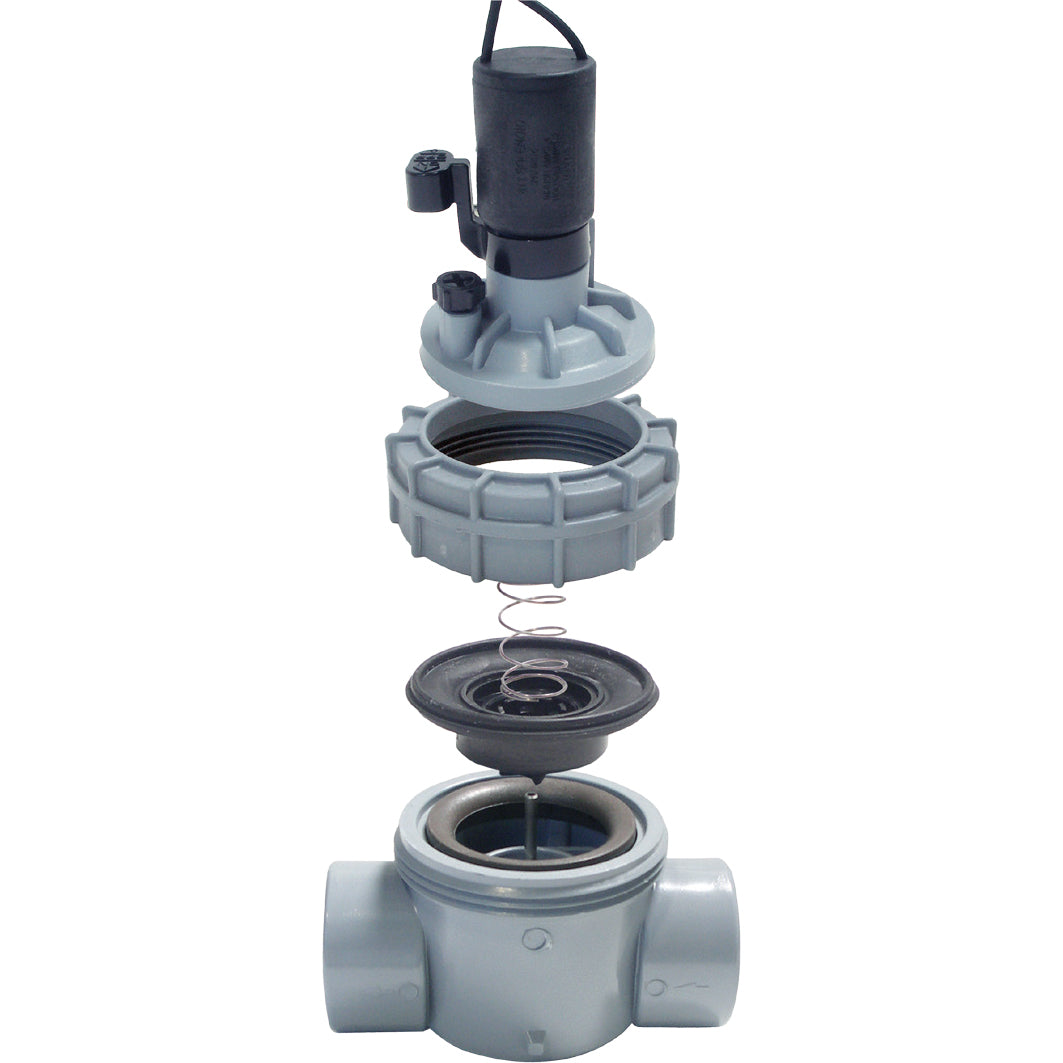 2400T - 1" Globe NPT Threaded Connection - 2400 Series Valve