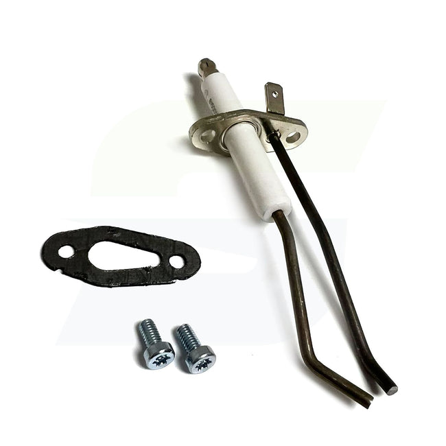 100165929 - Ignitor with Gasket - Old PLT3021