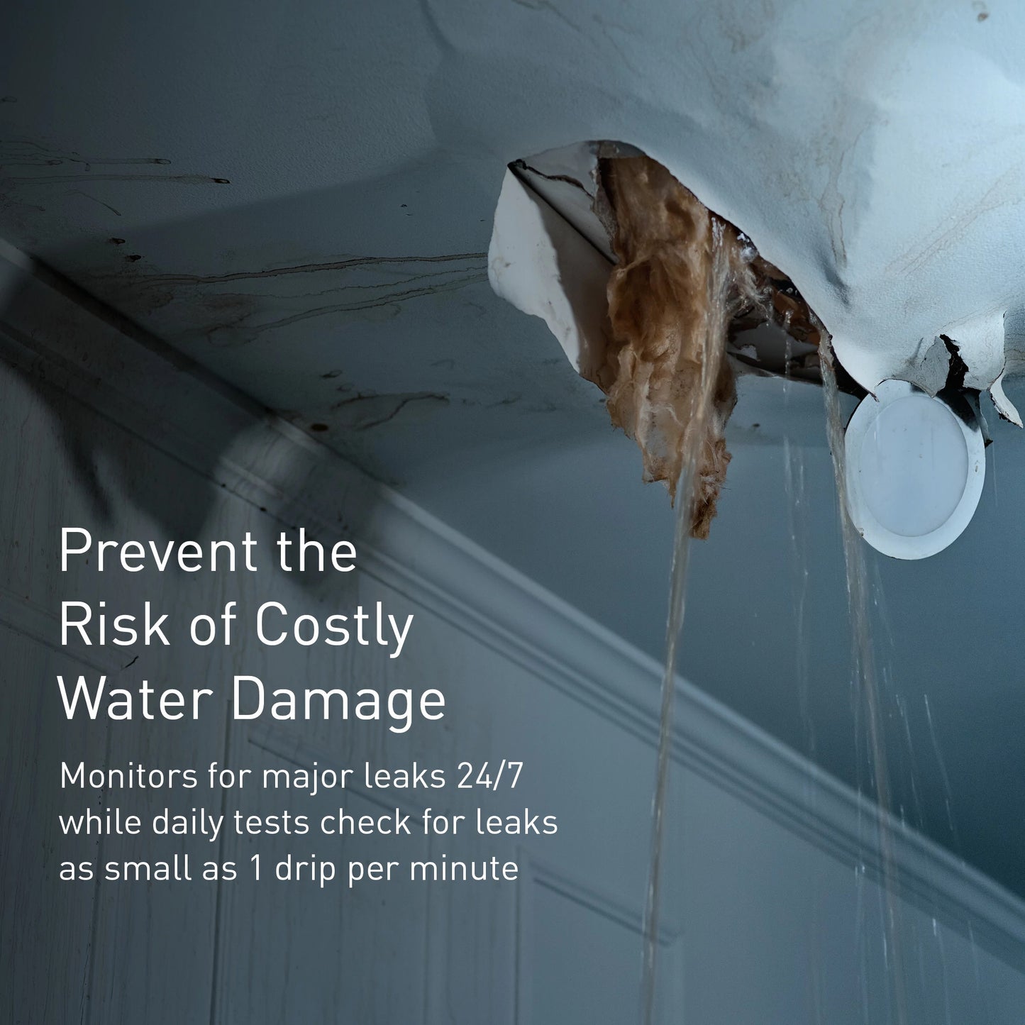 900-002 - 1-1/4" Flo Smart Water Monitor & Shutoff