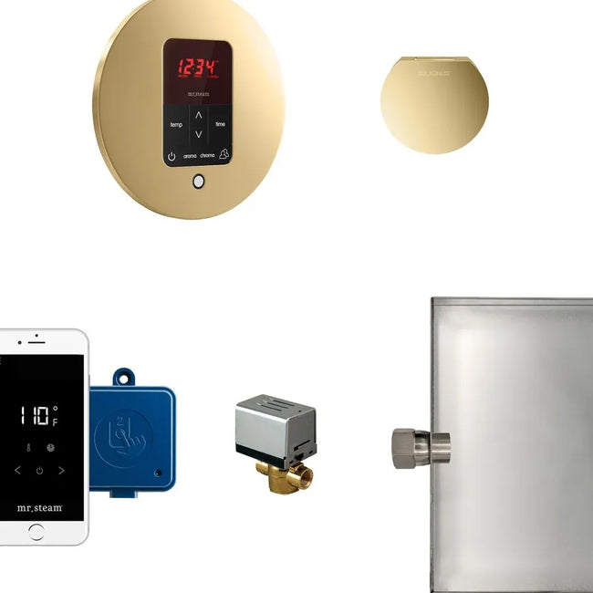 MSBUTLER1RD-PB - Butler Steam Generator Control Kit / Package - Round - Polished Brass