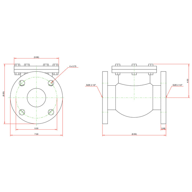NHE300E - Flanged Cast Iron Check Valve - 2-1/2"
