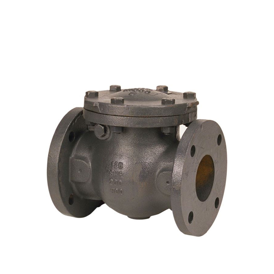 NHE300E - Flanged Cast Iron Check Valve - 2-1/2"
