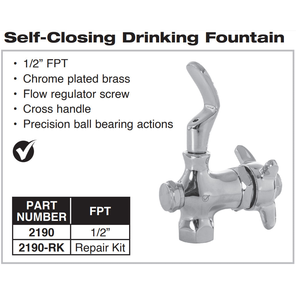 2190 - Self Closing Drinking Fountain - 1/2" FPT - Chrome
