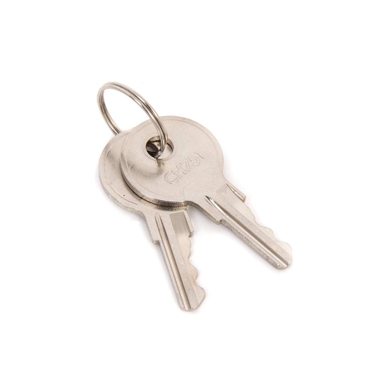Rain Bird Sprinkler Controller Lock Keys Set of 2 - SupplyStop.com