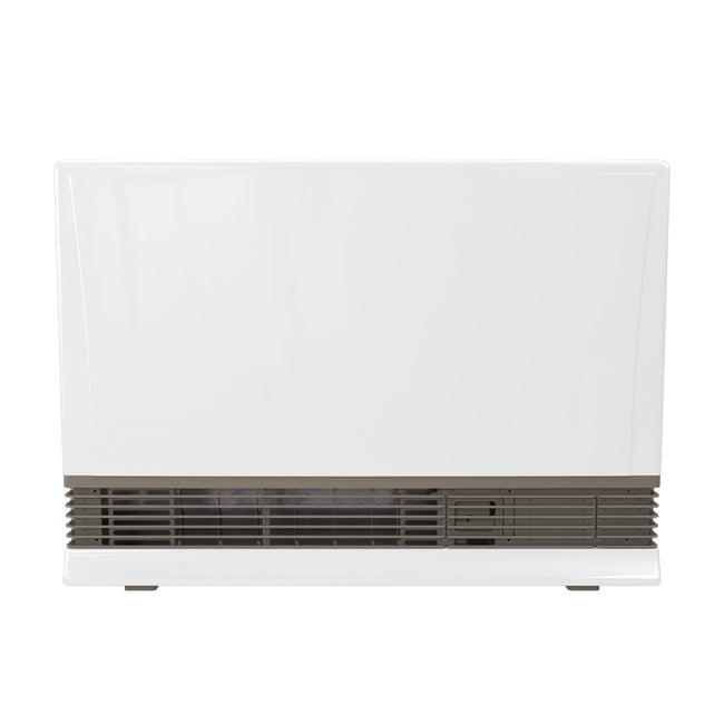 EX38DTP - EnergySaver Direct Vent Wall Furnace - LP - 36,500 BTU