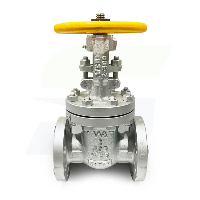 2" Cast Carbon Steel Flange Gate Valve - 300# - Raised Face