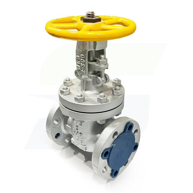 2" Cast Carbon Steel Flange Gate Valve - 300# - Raised Face