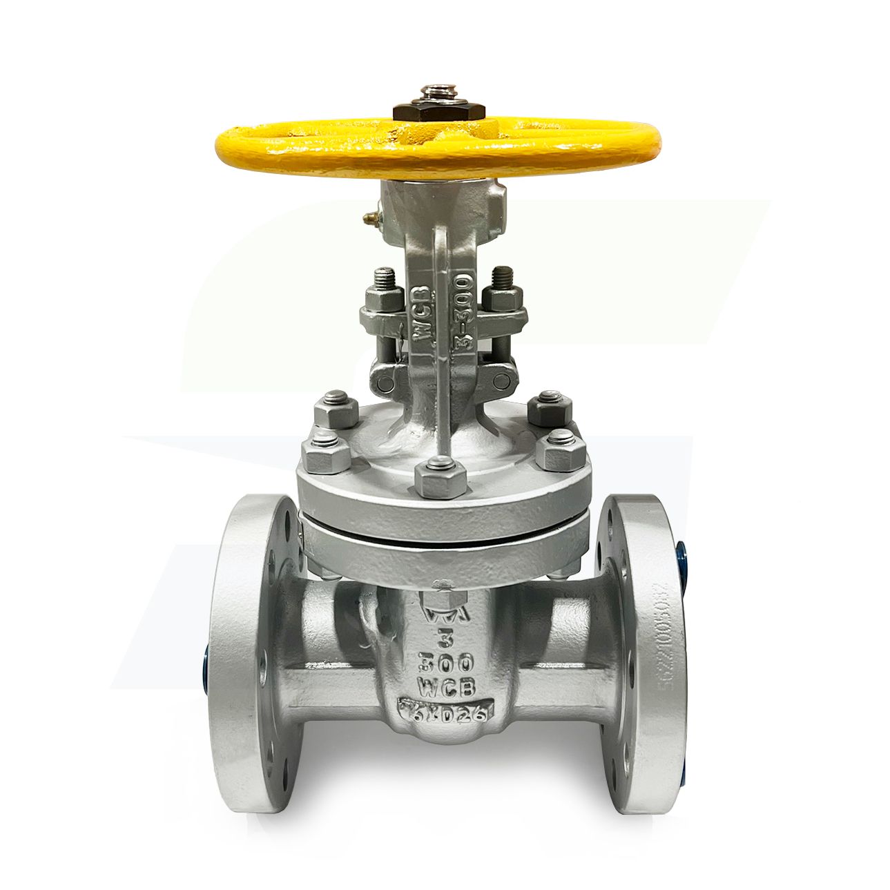 3" Cast Carbon Steel Flange Gate Valve - 300# - Raised Face