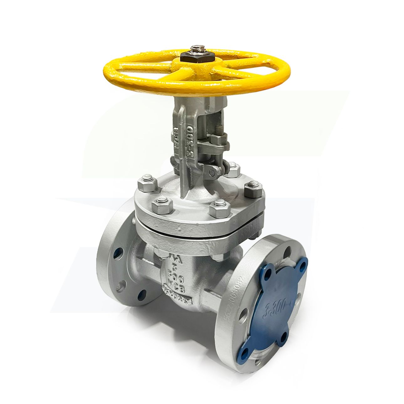 3" Cast Carbon Steel Flange Gate Valve - 300# - Raised Face