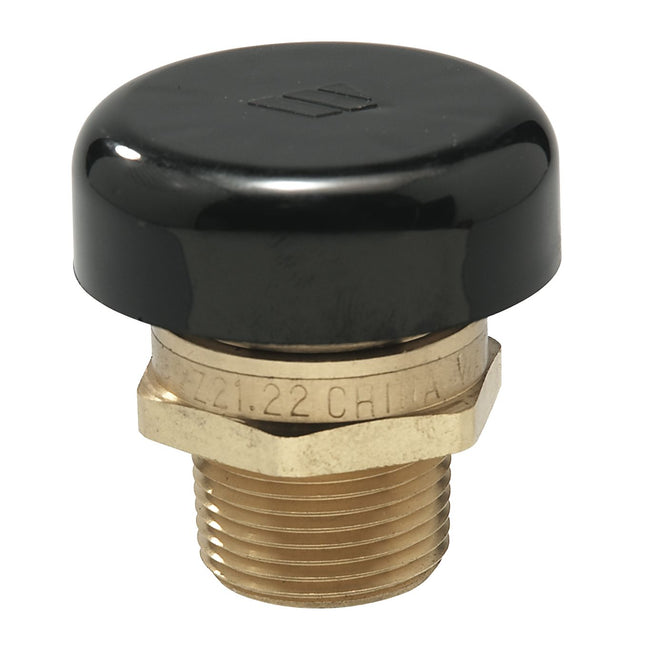 0556031 - 3/4" Lead Free Brass Vacuum Relief Valve, Male Npt, Protective Cap