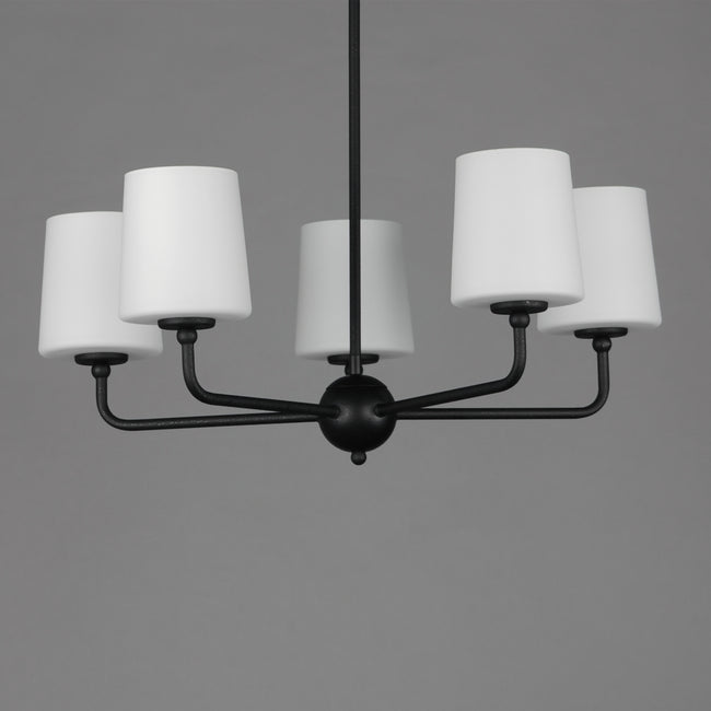 12095SWAR - 5 Light Bristol 27" Chandelier - Anthracite