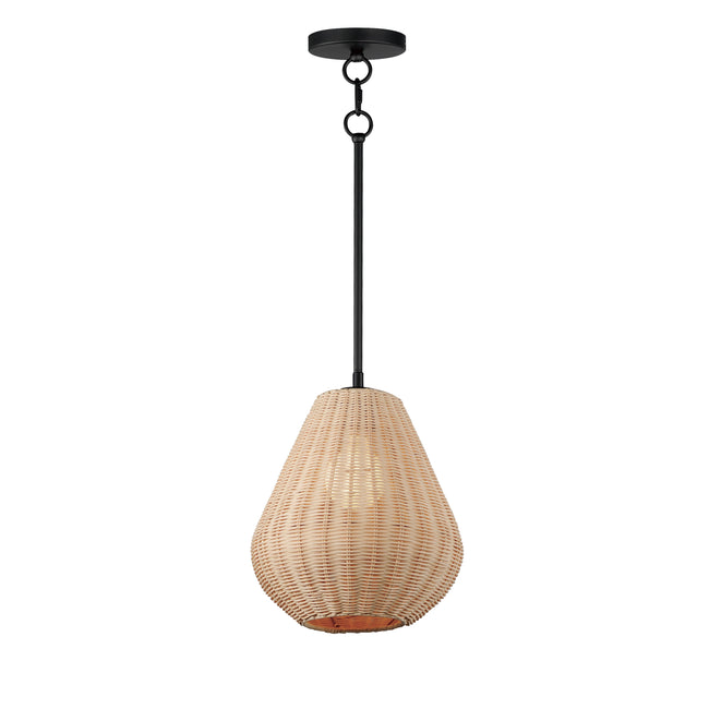 12602NABK - 1 Light Maldives 11" Pendant - Black
