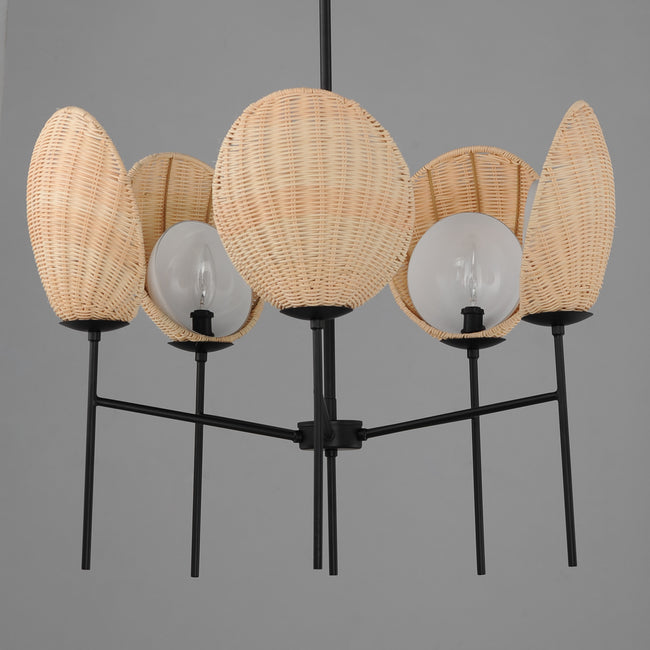 12605NABK - 5 Light Maldives 26" Chandelier - Black