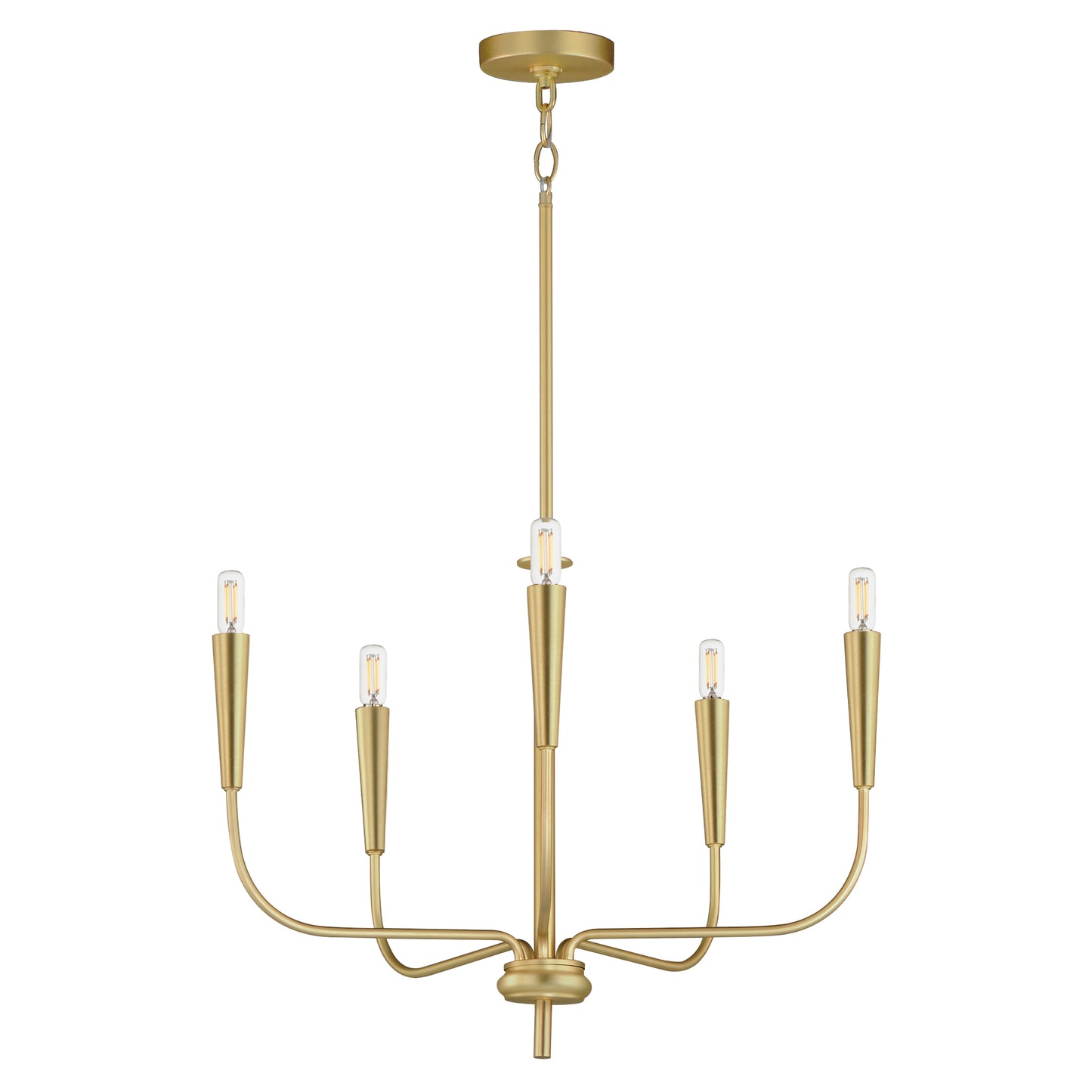 24815SBR - 5 Light Vela 24" Chandelier - Satin Brass