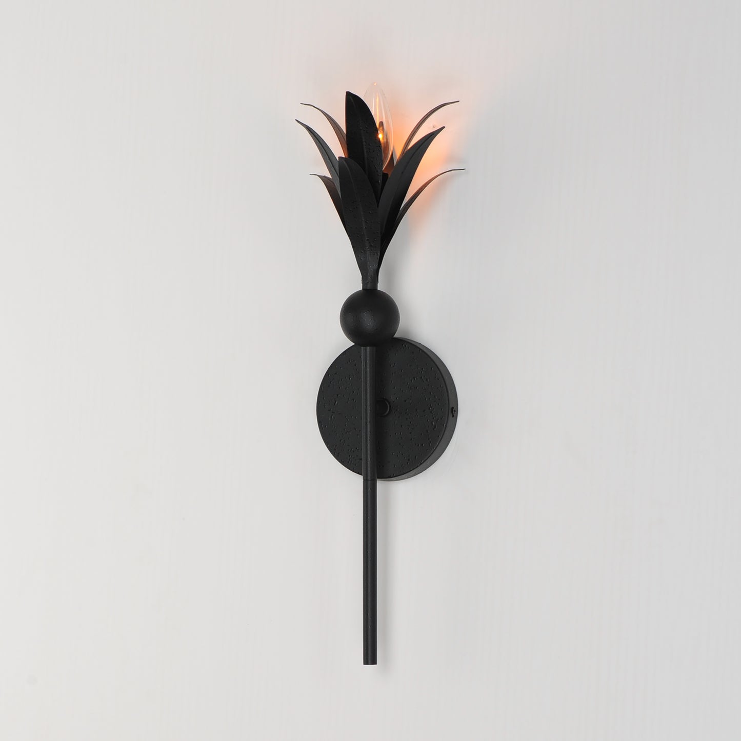 2881AR - 1 Light Paloma 4.75" Wall Sconce - Anthracite