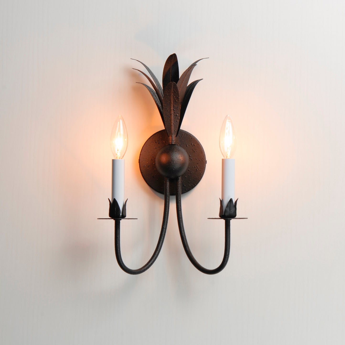 2882AR - 2 Light Paloma 10" Wall Sconce - Anthracite