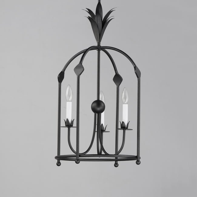 2884AR - 3 Light Paloma 15" Pendant - Anthracite