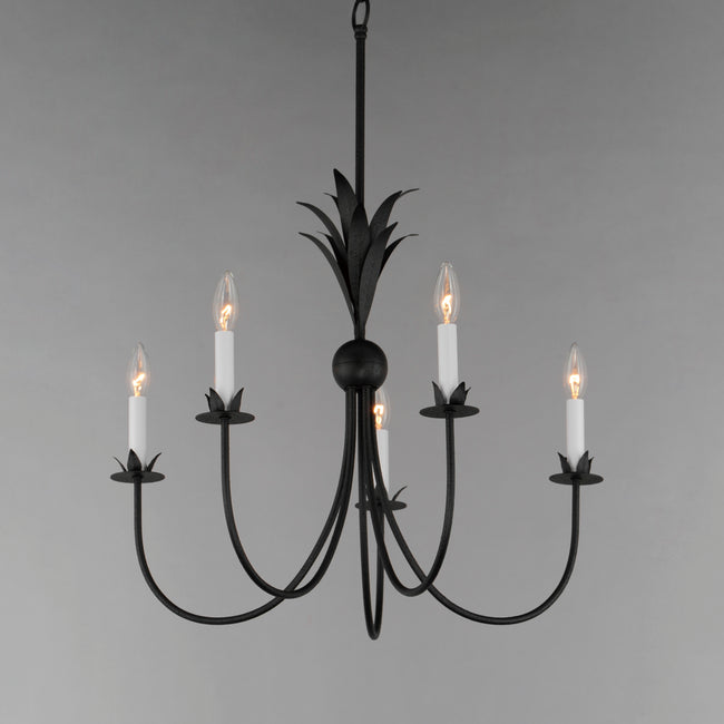 2885AR - 5 Light Paloma 26" Chandelier - Anthracite