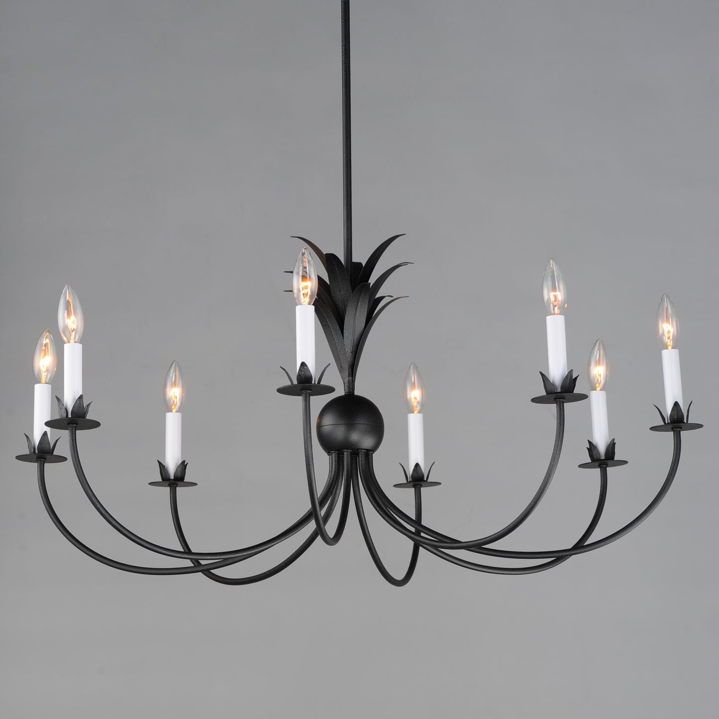 2888AR - 8 Light Paloma 36" Chandelier - Anthracite