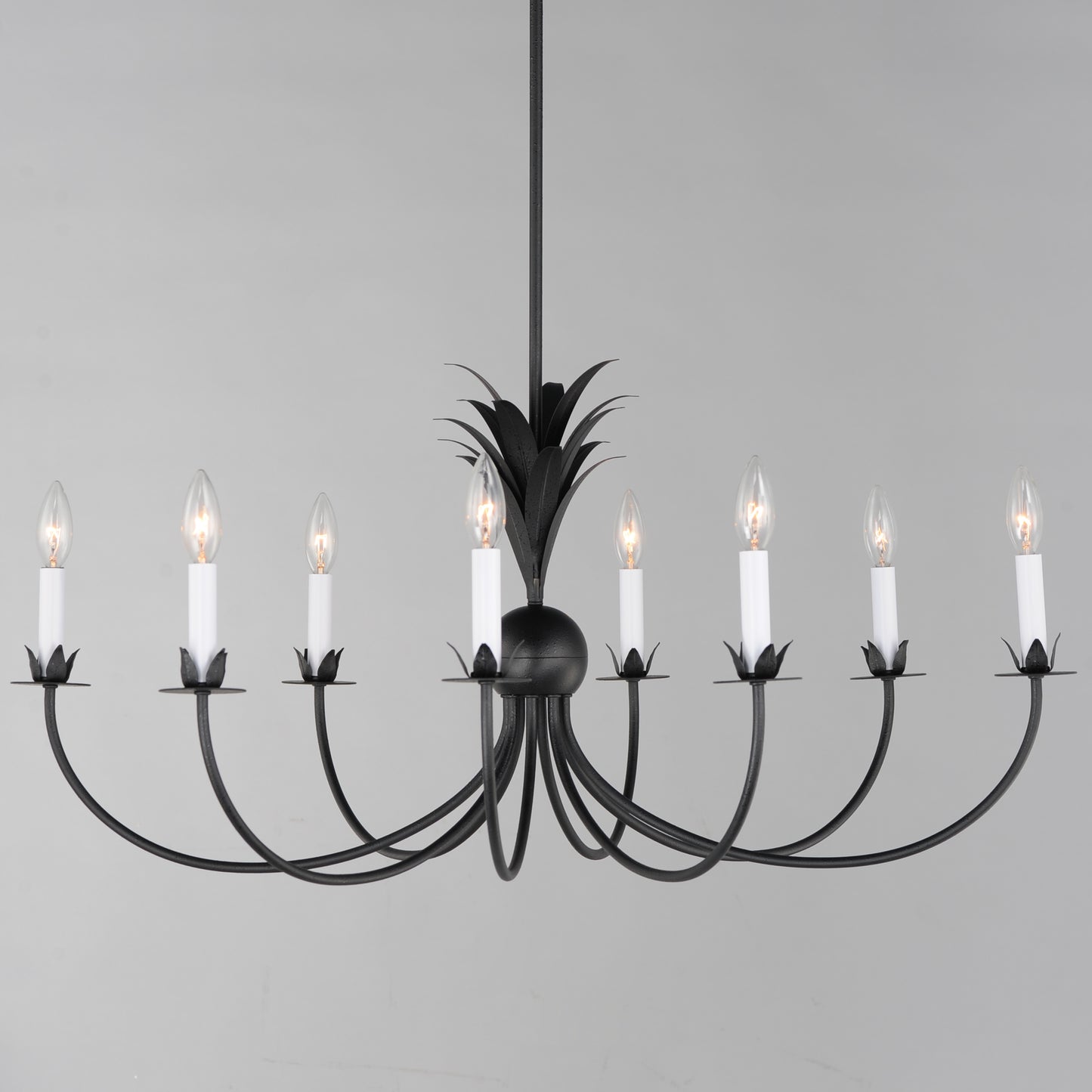 2888AR - 8 Light Paloma 36" Chandelier - Anthracite