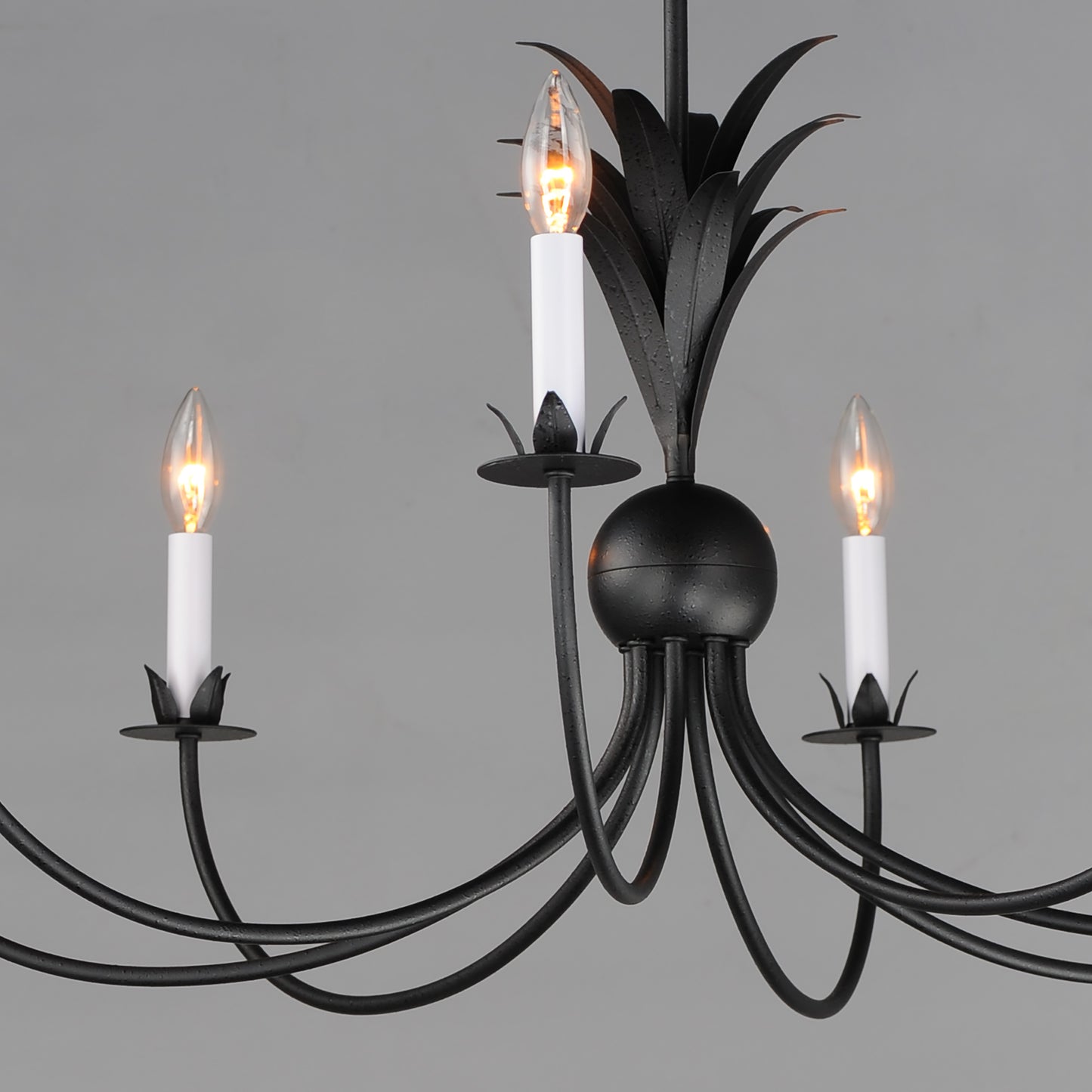 2888AR - 8 Light Paloma 36" Chandelier - Anthracite