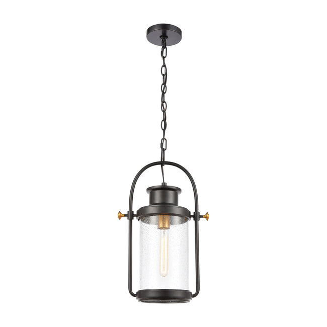 ELK Lighting 46672/1 - Wexford 12" Wide 1-Light Hanging in Matte Black with Seedy Glass