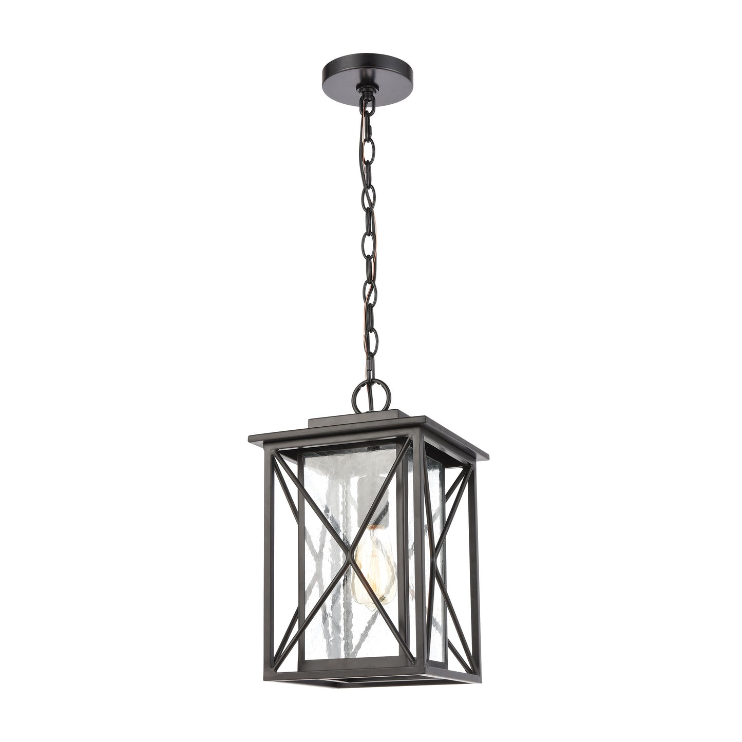 ELK Lighting 46753/1 - Carriage Light 9" Wide 1-Light Hanging in Matte Black with Seedy Glass