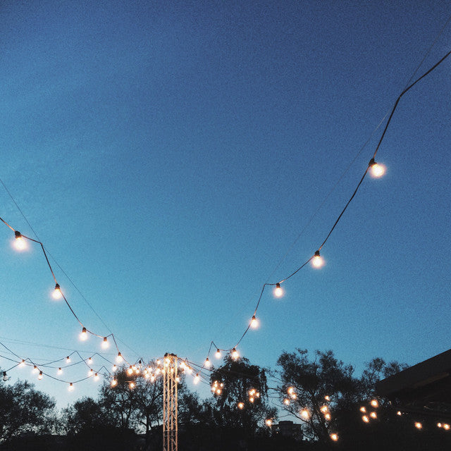 810054 - 10 Light 14' String Light with 11 Watt Globe LED Bulbs