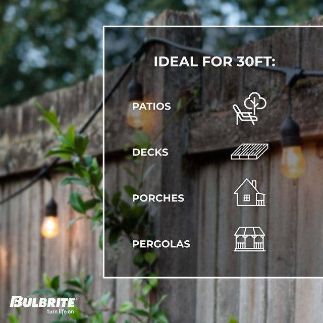 812313 - 12 Light 30' String Light with 1 Watt S14 LED Bulbs