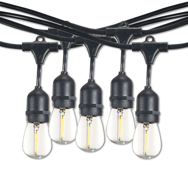 812313 - 12 Light 30' String Light with 1 Watt S14 LED Bulbs
