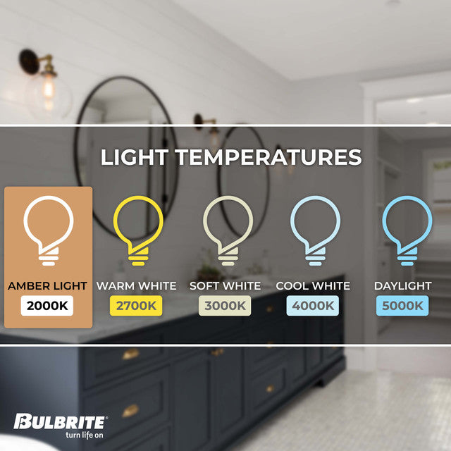 776513 - Filaments Curved ST18 LED Light Bulb - 4 Watt - 2200K - 2 Pack