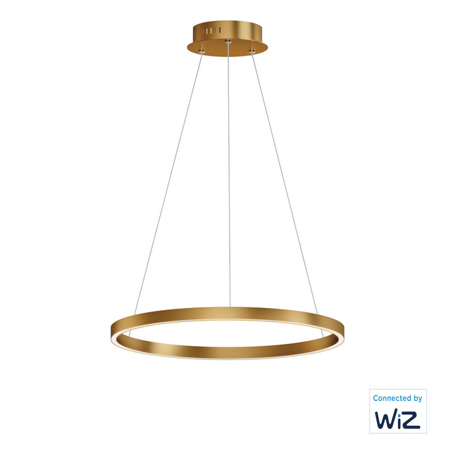 E22724-GLD - Groove WiZ 24" Pendant - Gold