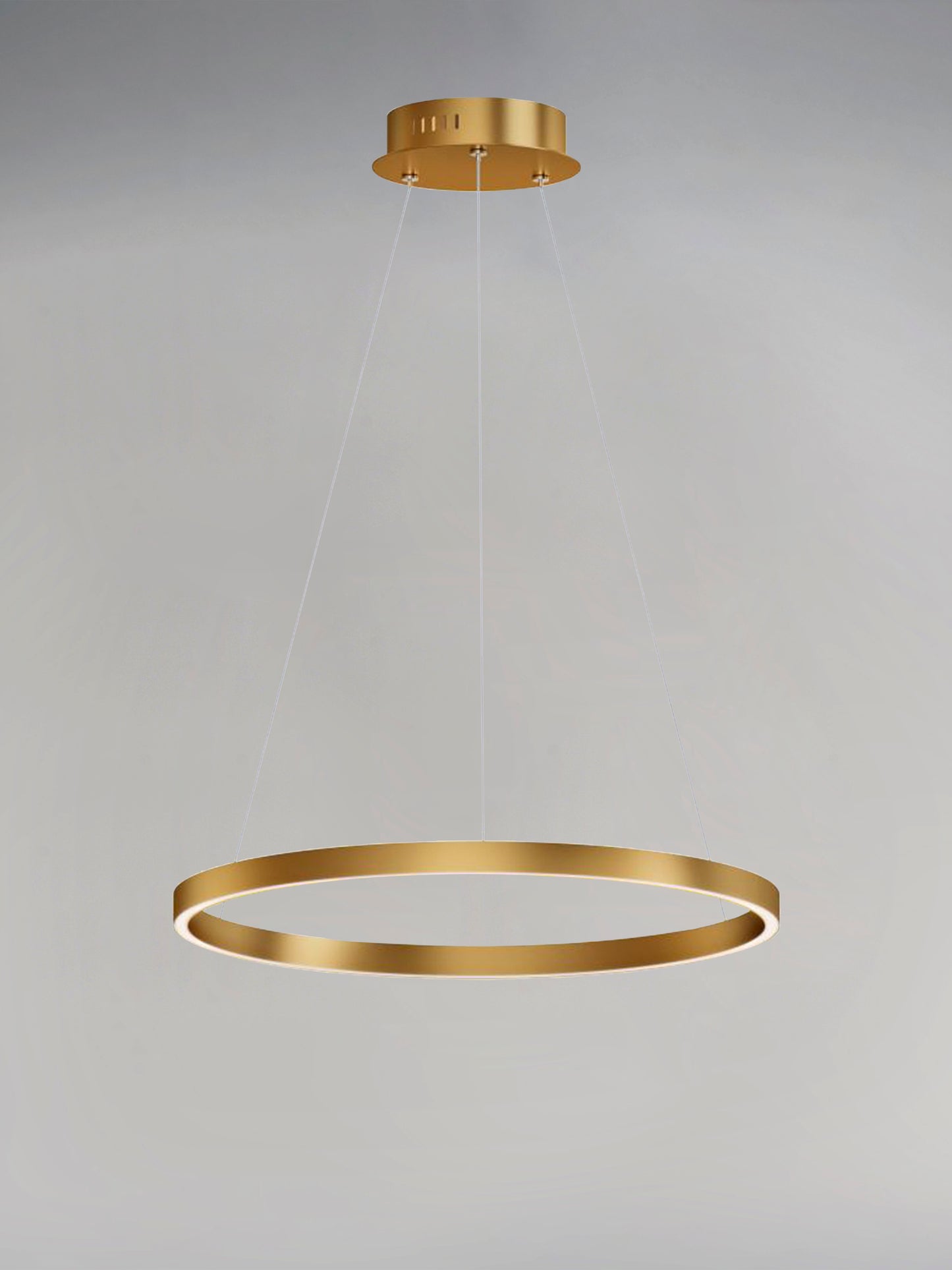 E22724-GLD - Groove WiZ 24" Pendant - Gold