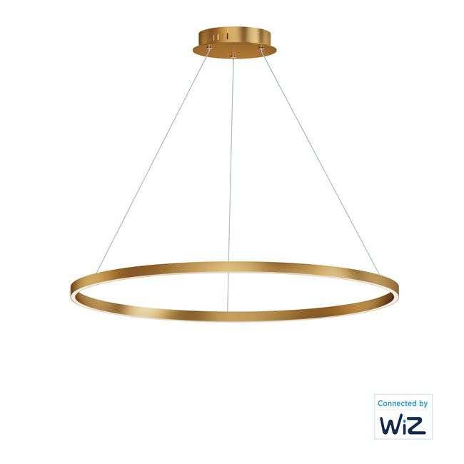 E22728-GLD - Groove WiZ 40" Pendant - Gold