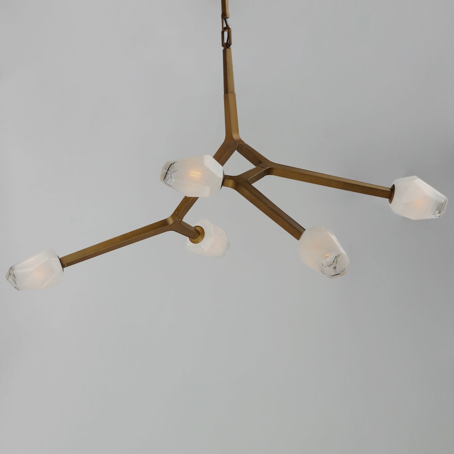 E32795-93NAB - 5 Light Blossom 36" Chandelier - Natural Aged Brass