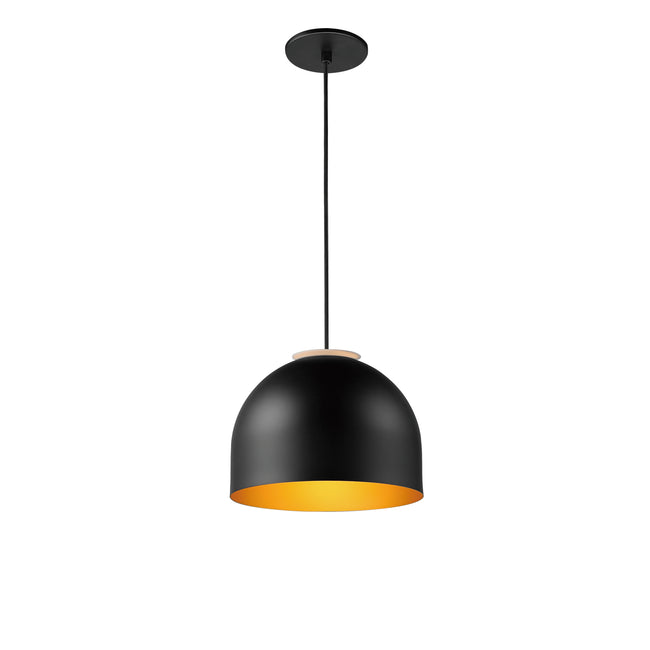 E34602-54BKGLD - Foster 9.75" Pendant - Black / Gold