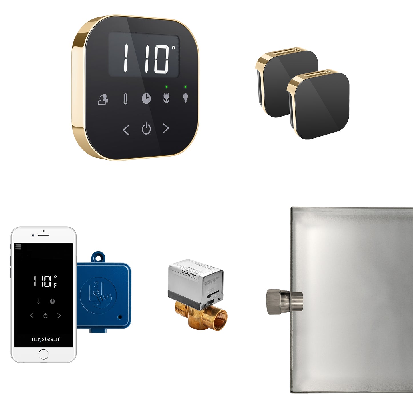 AirButler Max Package Black Polished Brass