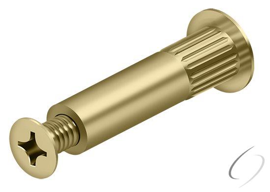 DCSB175-GOLD Sex Bolts for DC4041; Gold Finish
